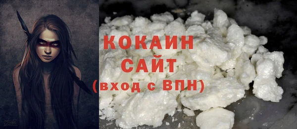 мет Новозыбков