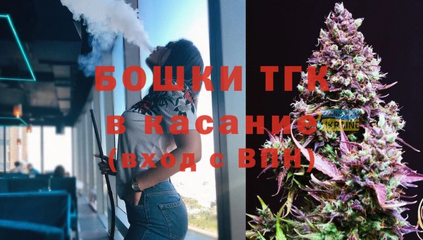 мет Новозыбков