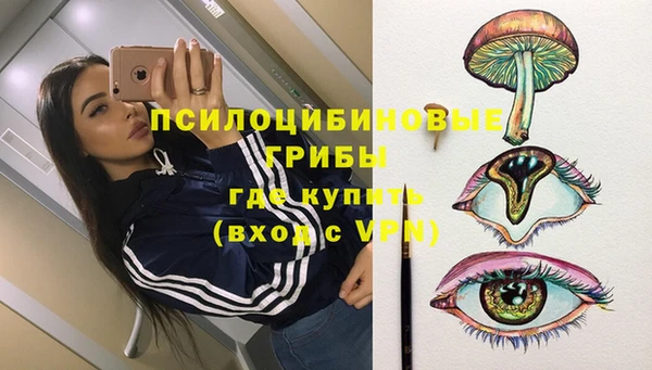 мет Новозыбков