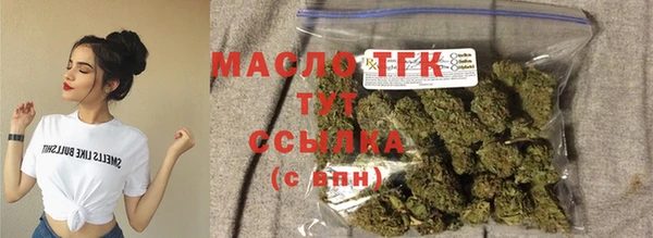мет Новозыбков