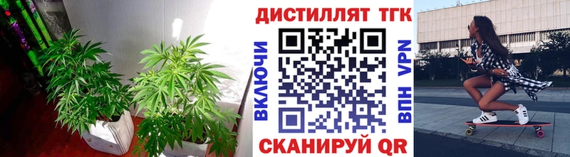 Дистиллят ТГК концентрат  hydra как зайти  дарк нет как зайти  Кострома 