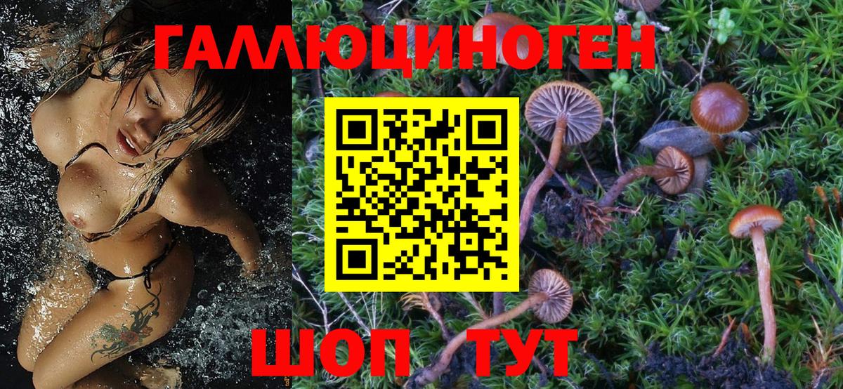 Кострома  Псилоцибиновые грибы MAGIC MUSHROOMS  Вход с VPN 