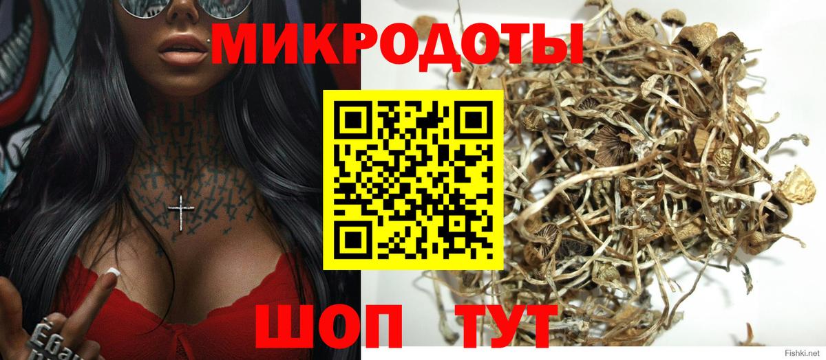 Галлюциногенные грибы мицелий Кострома