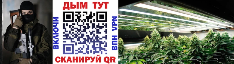 Конопля White Widow  купить наркотик  Кострома 